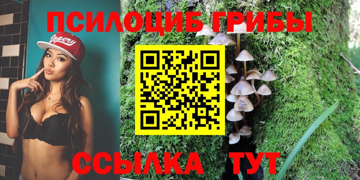 Псилоцибиновые грибы мицелий  Вход с VPN  Котовск 