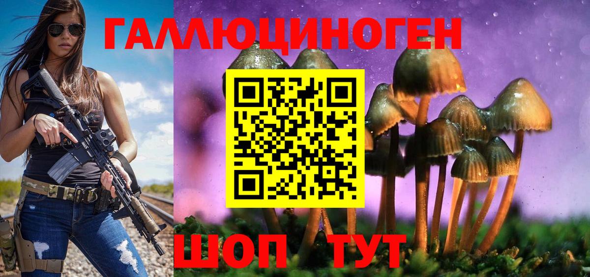Галлюциногенные грибы Cubensis Котовск